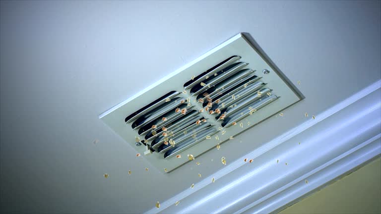 Best HVAC System Cleaning  in Marksville, LA