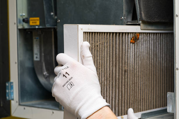 Best Affordable Duct Cleaning Services  in Marksville, LA
